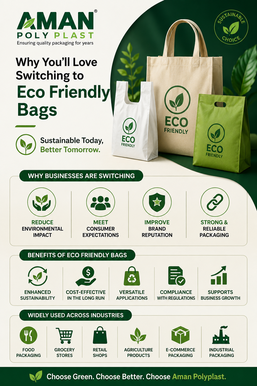 Eco Friendly Bags: Benefits for Businesses & Sustainable Packaging